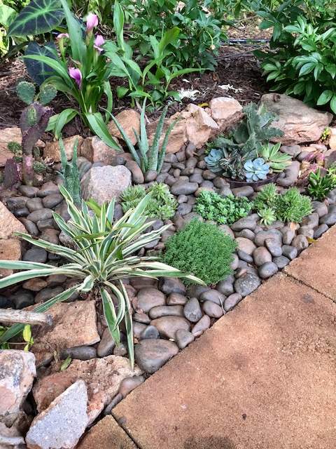 10 FinishedCactus Garden