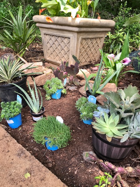 6 Planning the placement