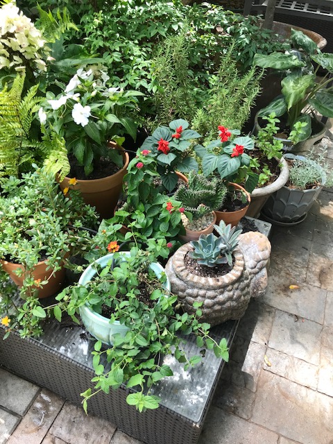 Table Garden